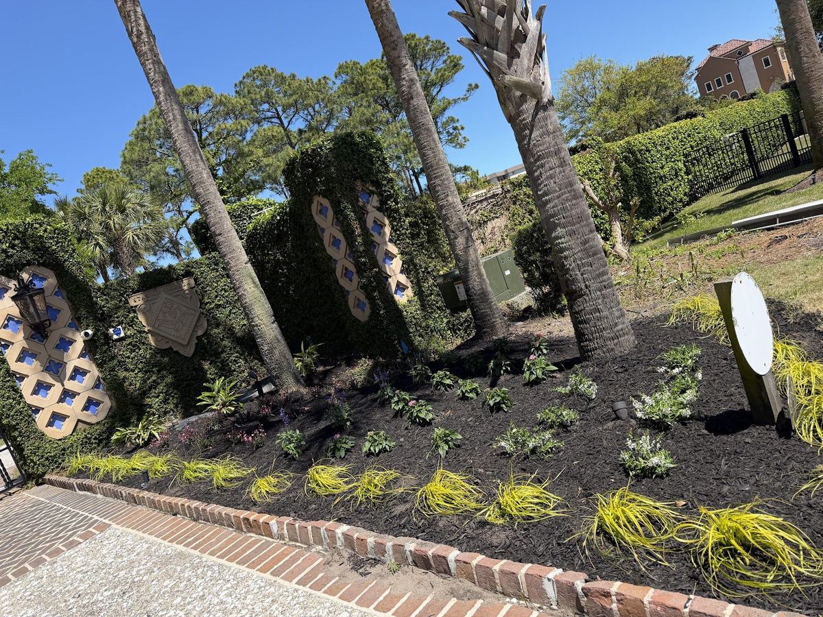 Newly installed landscape bed with palms, small plantings, and brick edging by Prestige Landscaping