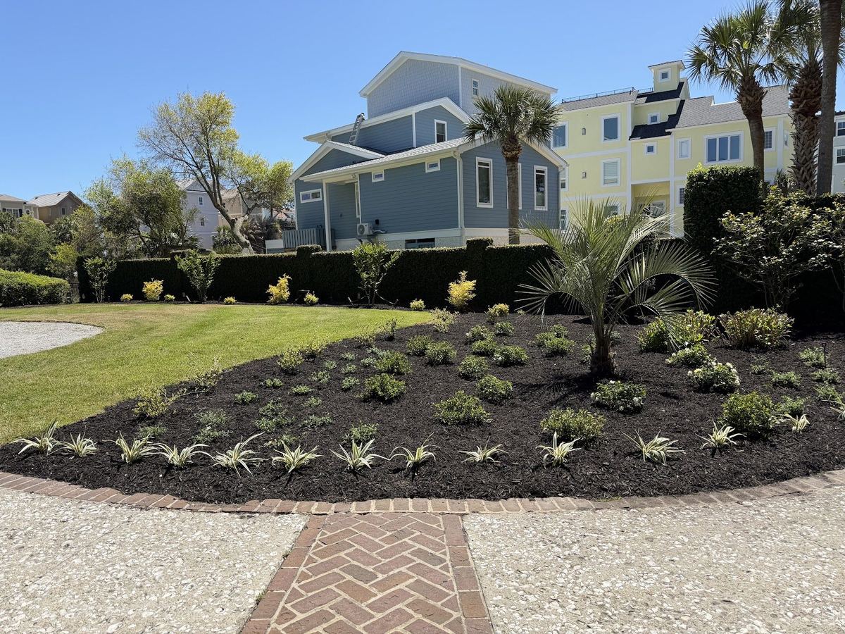 Newly planted island bed with a palm and small shrubs in front of a coastal home, by Prestige Landscaping