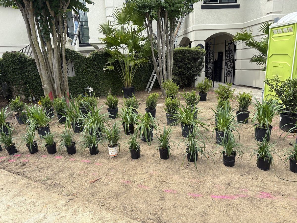 New ornamental grasses and shrubs laid out for installation in front of a home by Prestige Landscaping