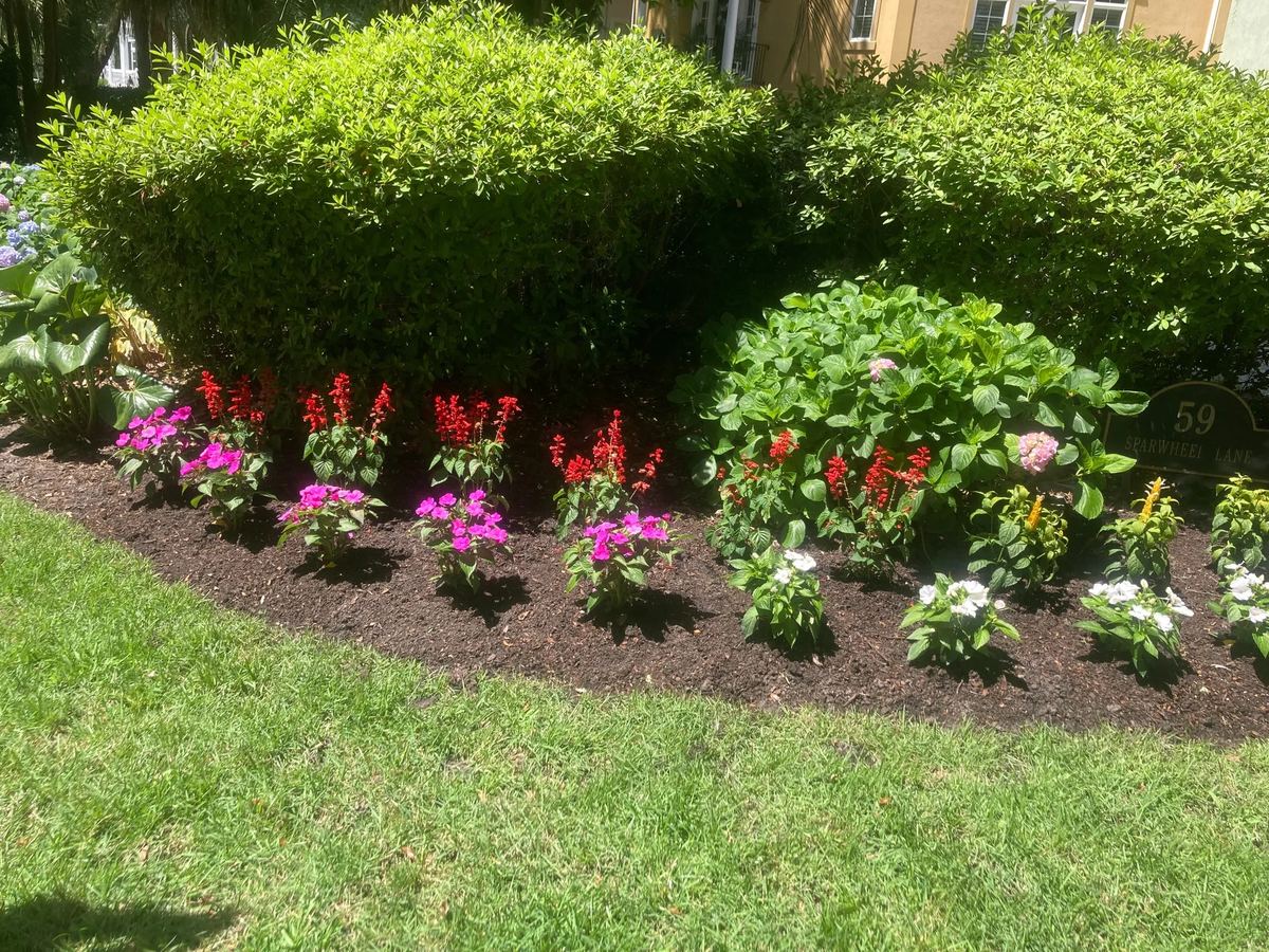 Manicured shrubs and red flower bed edging a green lawn