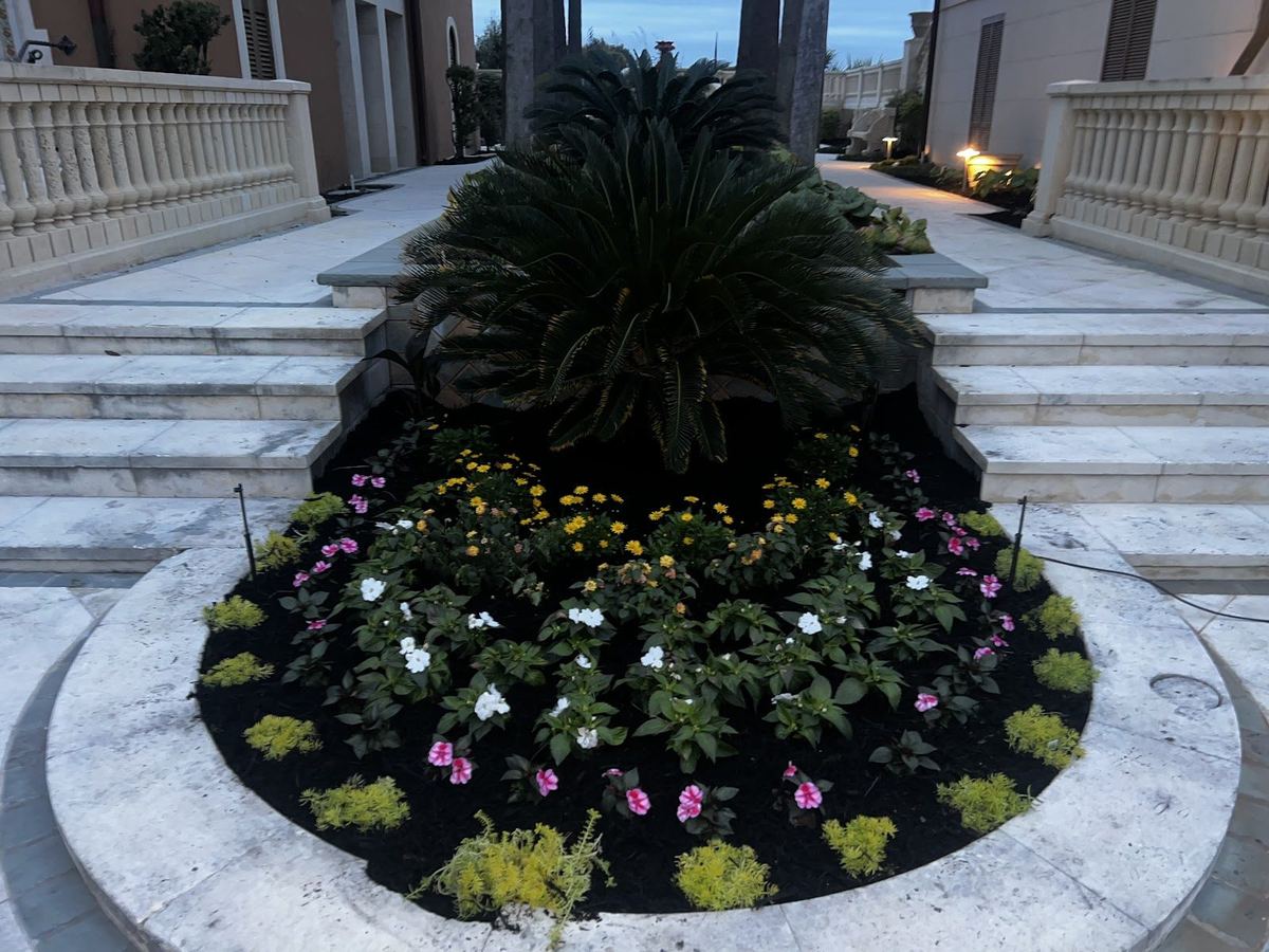 Round entry bed with a sago palm surrounded by white and pink annual flowers, planted by Prestige Landscaping