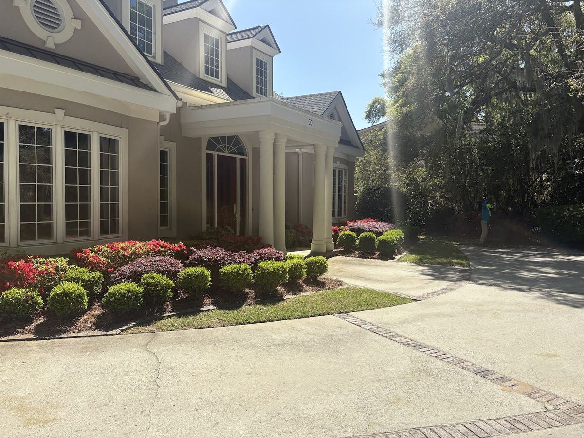 Front yard with trimmed boxwood hedge and seasonal flowers along a driveway, landscaped by Prestige Landscaping