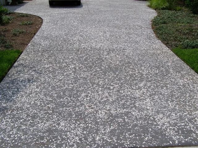 Oyster shell aggregate driveway