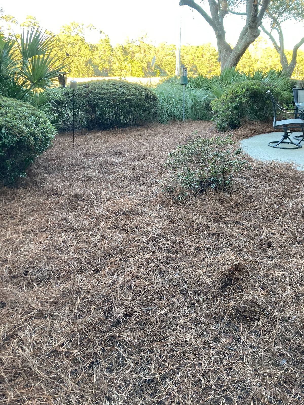 Landscaping work by Prestige Landscaping, serving Bluffton, SC