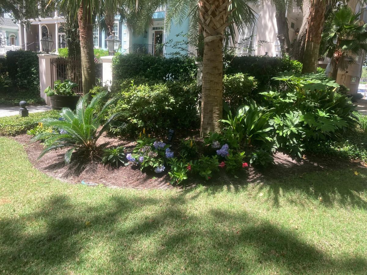 Lush shaded planting bed with palms and tropical plants