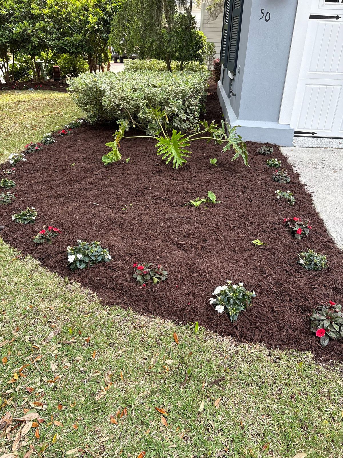 Fresh mulch bed with new plantings beside a house